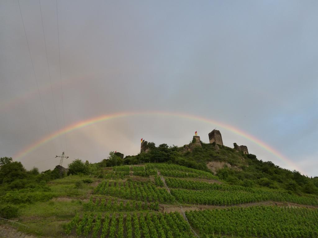 Hotel Haus Burg Metternich Beilstein  Dış mekan fotoğraf