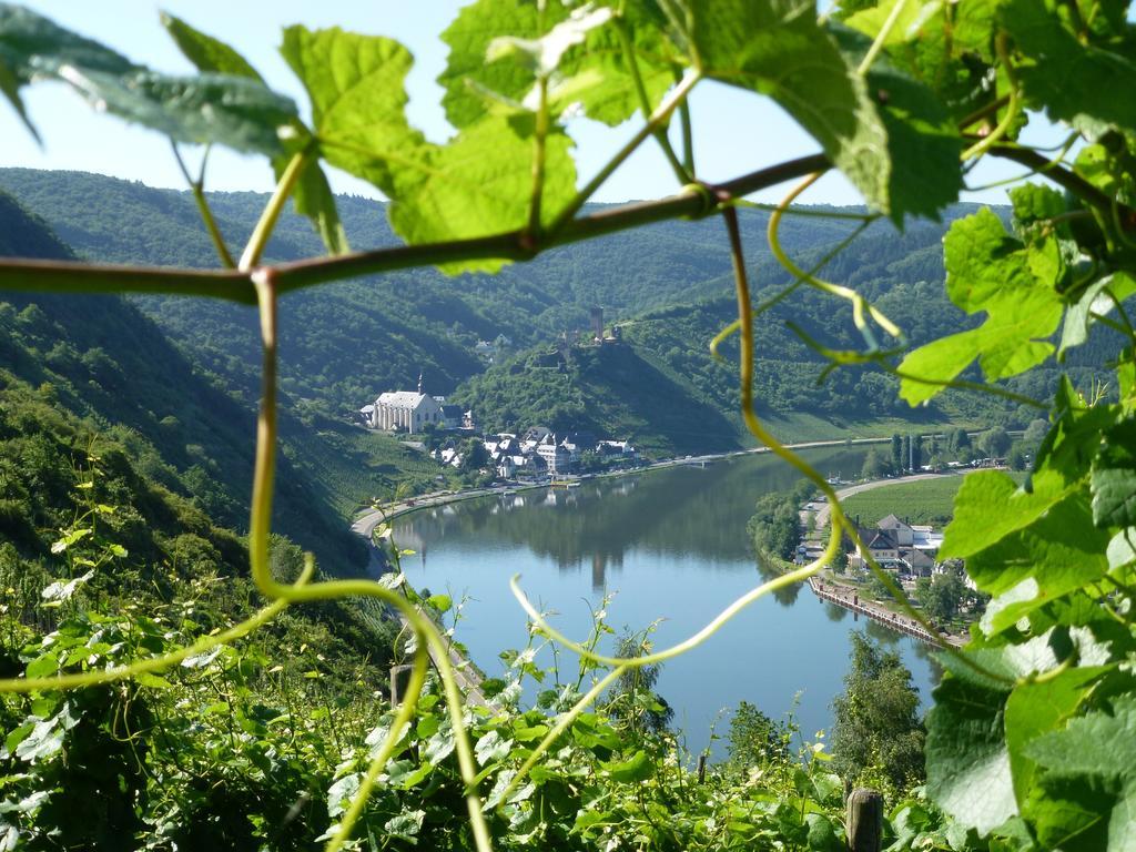 Hotel Haus Burg Metternich Beilstein  Dış mekan fotoğraf